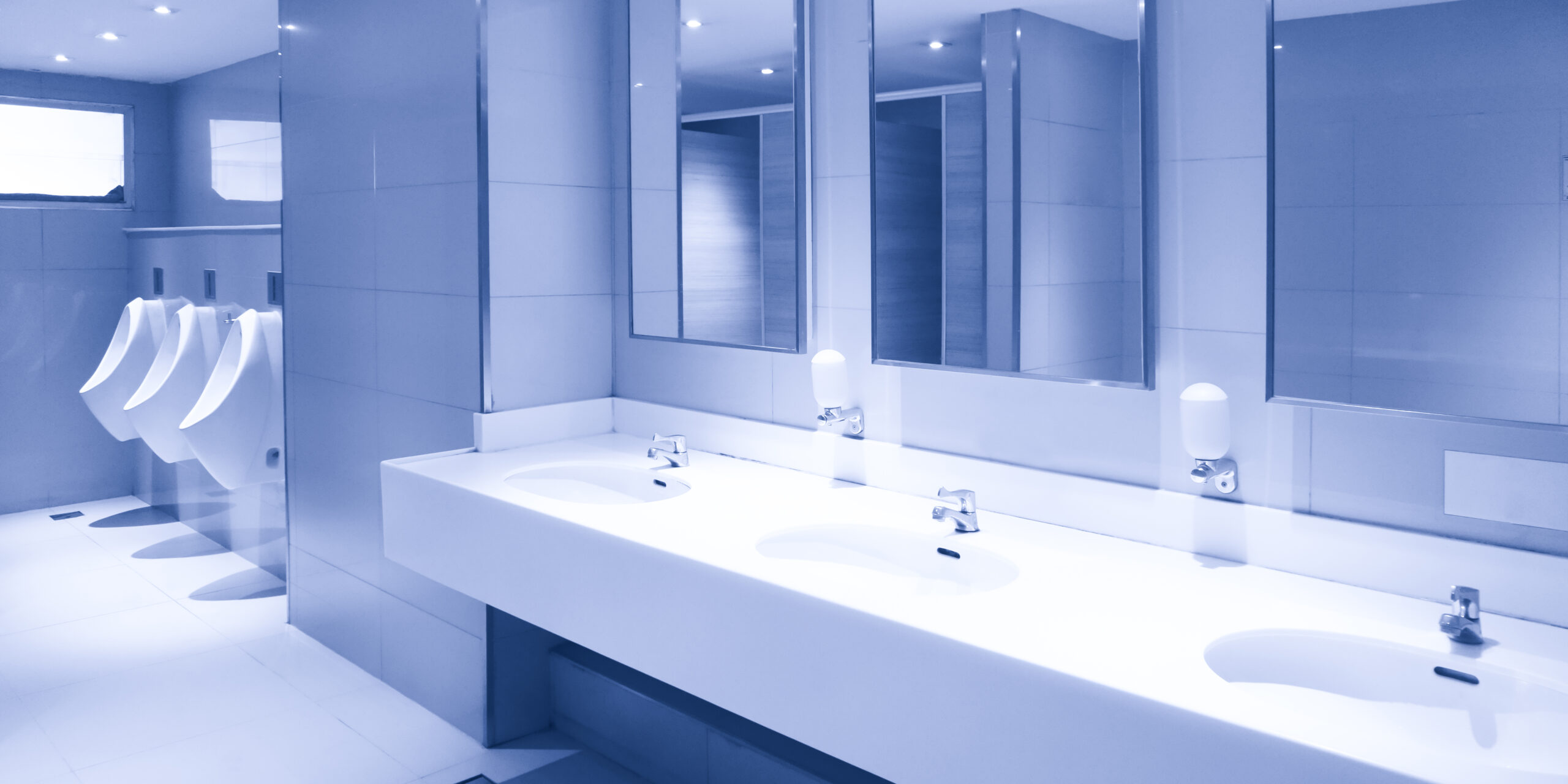 Flushed with Pride Creating Restrooms that Improve Facility Image