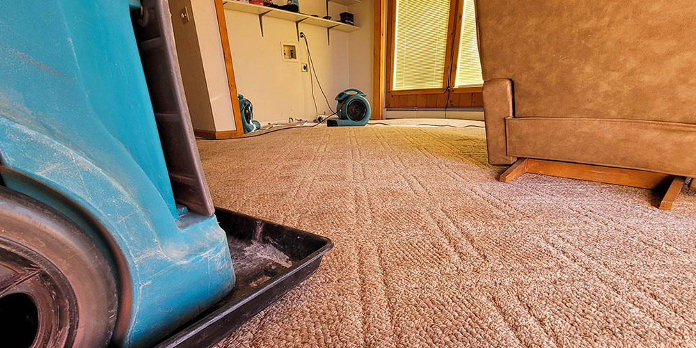 How the Pros Do It Odor Mitigation Tips, Strategies, and Best